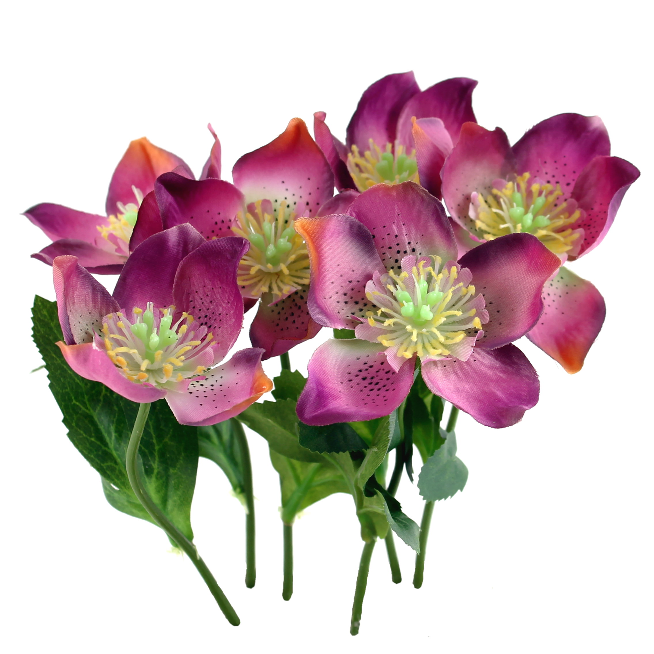 6x Christrosen Pick violett mit je 1 Blüte, L 15cm Helleborus, Schneerose