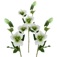 3x Christrosen weiß/grün, mit je 2 großen Blüten + 1 Knospe, L57cm Helleborus