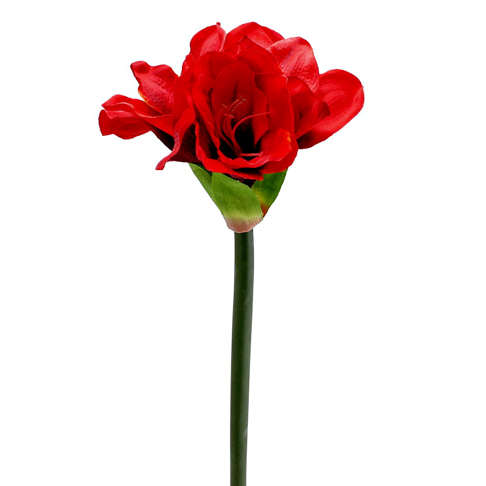 Amaryllis in rot mit 3 Blüten, groß L60cm Ø15cm, künstlich, Weihnachten