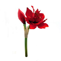 3x Amaryllis in rot mit je 1 Blüte + 1 Knospe, L30cm künstlich, Weihnachten