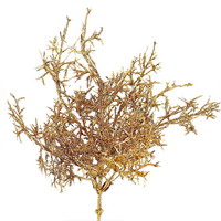 4x Stacheldraht Pflanze künstlich in gold L30cm, Calocephalus !!!
