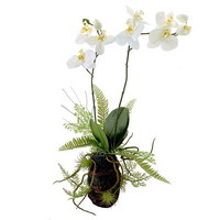 Orchideen-Farn-Arrangement "Real-Touch-Blüten" künstlich 57cm, weiß !!!