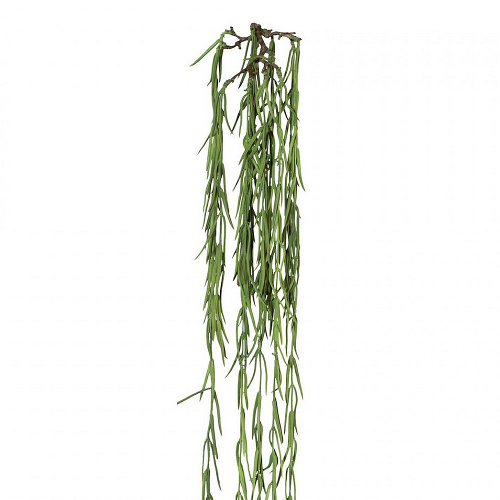 Hoyahänger grün, 90cm Länge, Kunststoff Hängepflanze mit Luftwurzeln !