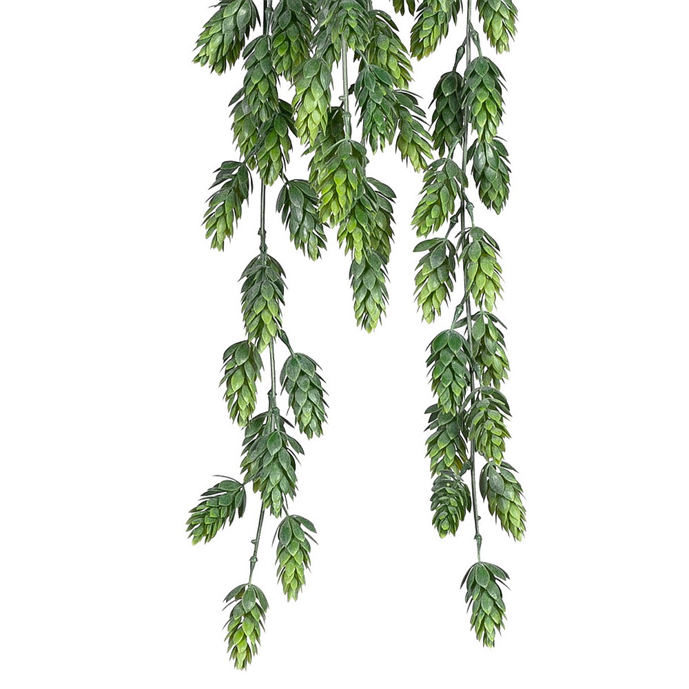 Hopfen Hänger mit Dolden grün x6, 75cm Länge, Kunststoff Hängepflanze